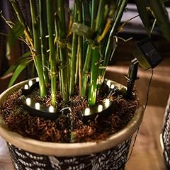 Led solar blumentopf gebraucht kaufen  Wird an jeden Ort in Deutschland