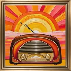 Sunrise radio usato  Spedito ovunque in Italia 