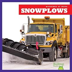 Snowplows for sale  Delivered anywhere in USA 