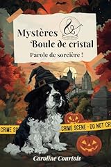 Mystères boule cristal d'occasion  Livré partout en France