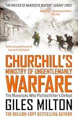 Churchill ministry ungentleman for sale  Delivered anywhere in UK