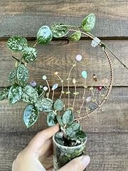 Inch copper wildflower for sale  Delivered anywhere in USA 