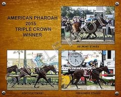 Sportsphotosusa american pharo for sale  Delivered anywhere in USA 
