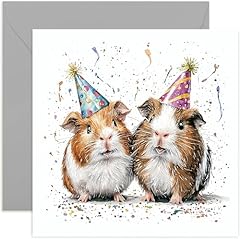Sweet guinea pigs for sale  Delivered anywhere in UK