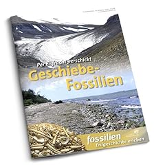 Geschiebe fossilien per gebraucht kaufen  Wird an jeden Ort in Deutschland