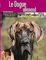 Dogue allemand d'occasion  Livré partout en Belgiqu