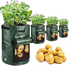 Jjgoo potato grow for sale  Delivered anywhere in USA 