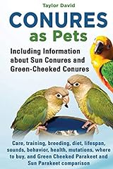 Conures pets including for sale  Delivered anywhere in UK
