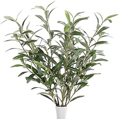 Szjias olive branches for sale  Delivered anywhere in USA 