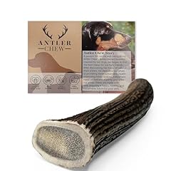 Antler chew antler for sale  Delivered anywhere in Ireland