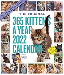 365 kittens year for sale  Delivered anywhere in USA 