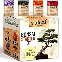 Valeaf bonsai starter usato  Spedito ovunque in Italia 