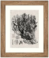 Amanti art framed for sale  Delivered anywhere in USA 