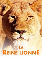 Reine lionne d'occasion  Livré partout en France