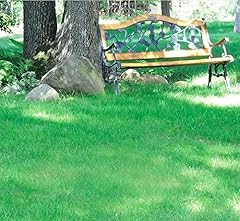 Mow lawn grass for sale  Delivered anywhere in USA 