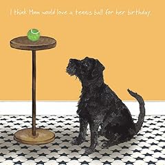 Patterdale dog birthday for sale  Delivered anywhere in UK