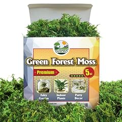Duspro green moss for sale  Delivered anywhere in USA 