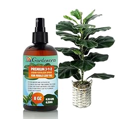 Gardenera professional fiddle for sale  Delivered anywhere in USA 