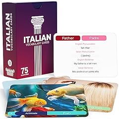 Italian vocabulary flash for sale  Delivered anywhere in USA 