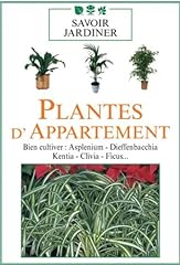 Plantes appartement vol. d'occasion  Livré partout en Belgiqu