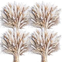 440pcs natural dried for sale  Delivered anywhere in USA 