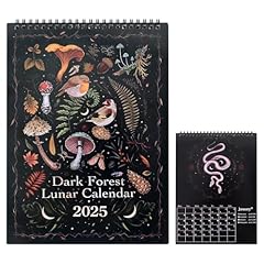 Xcrprt dark 2025 gebraucht kaufen  Wird an jeden Ort in Deutschland