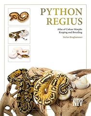 Python regius atlas for sale  Delivered anywhere in UK