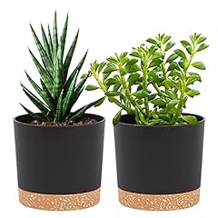 Qcqhdu plant pots for sale  Delivered anywhere in USA 