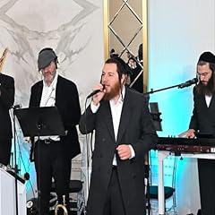 Nov. gestetner chaim for sale  Delivered anywhere in UK