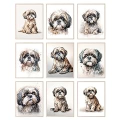 Bigwig prints shih for sale  Delivered anywhere in USA 