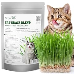 Groundio cat grass for sale  Delivered anywhere in USA 