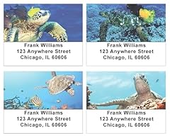 Sea turtles address for sale  Delivered anywhere in USA 