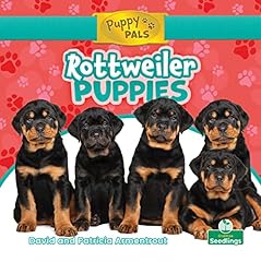 Rottweiler puppies for sale  Delivered anywhere in USA 