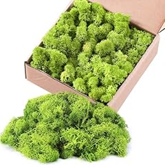 Vmxlso moos zum gebraucht kaufen  Wird an jeden Ort in Deutschland