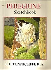 Peregrine sketchbook for sale  Delivered anywhere in UK