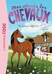 Amis chevaux choix d'occasion  Livré partout en Belgiqu