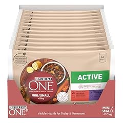 Purina one active usato  Spedito ovunque in Italia 