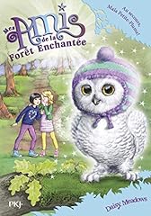Amis forêt enchantée d'occasion  Livré partout en France