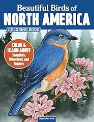 Beautiful birds north for sale  Delivered anywhere in USA 