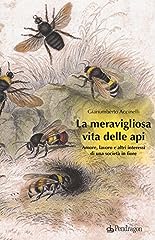 Meravigliosa vita delle usato  Spedito ovunque in Italia 