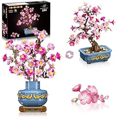 Hogokids set bonsai usato  Spedito ovunque in Italia 