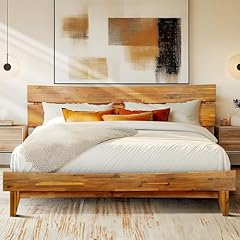 Acacia aurora king for sale  Delivered anywhere in USA 