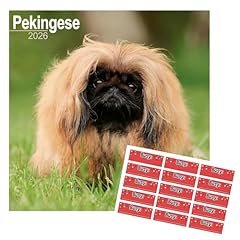 Pekingese calendar 2026 for sale  Delivered anywhere in UK