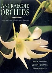 Angraecoid orchids species for sale  Delivered anywhere in USA 