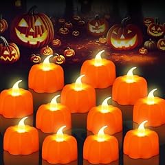 Owill pezzi zucca usato  Spedito ovunque in Italia 