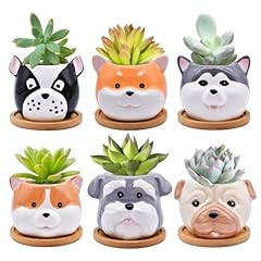 Pack cute dog for sale  Delivered anywhere in USA 