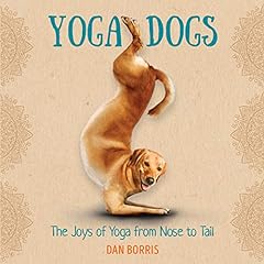 Yoga dogs humorous for sale  Delivered anywhere in USA 