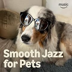 Smooth jazz fürs gebraucht kaufen  Wird an jeden Ort in Deutschland