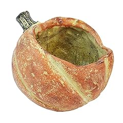 Zucca tonda 5 usato  Spedito ovunque in Italia 