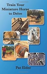 Train miniature horse for sale  Delivered anywhere in USA 